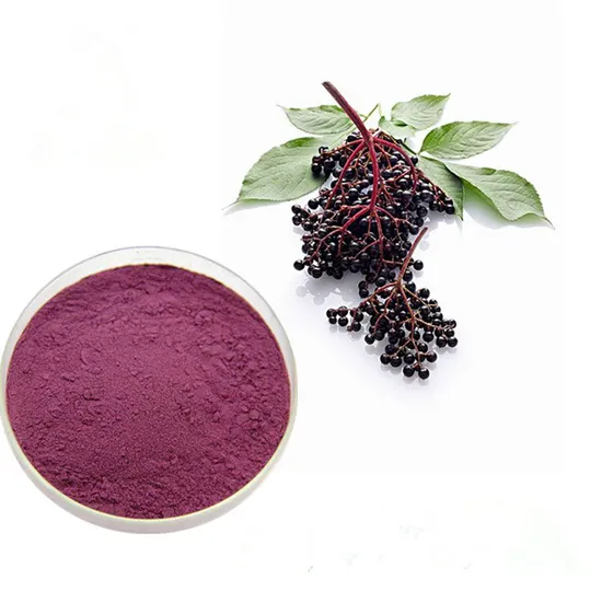 Natural Elderberry Extract Organic Elderberry Extract Herbal Extract Food Ingredient 